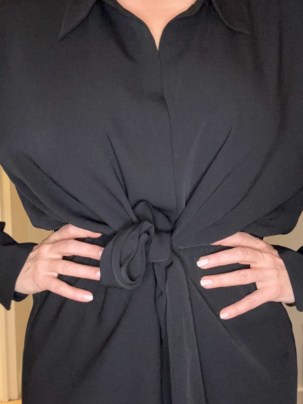 Babaton (Aritzia) Black Tie-Waist Long Dress - Picture 7 of 8